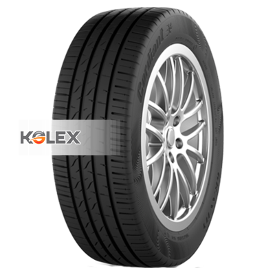 CORDIANT GRAVITY PS-9